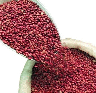 Frijoles Nicaraguenses