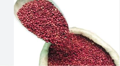 Frijoles Nicaraguenses