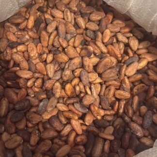 Cacao en Grano- 1lb