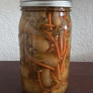 Cebollines Encurtidos Mixtos